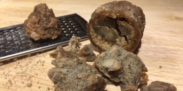eine auseinandergebrochene Kugel Beieikas, daneben eine Reibe mit einem Stück davon