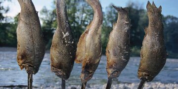 5 Steckerlfisch am Flussufer aufgespießt