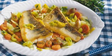 Fischmotivteller mit Zanderfilets auf Wurzelgemüsebett