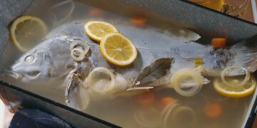 Blauer Karpfen mit Zwiebelringen und Zitronenscheiben im Sud