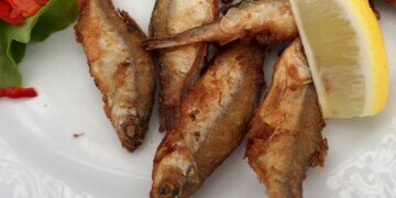 5 Meefischli auf einem Teller, dazu eine Scheibe Zitrone, daneben Salat