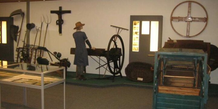 Innenansicht eines Museumsraums mit verschiedenen Exponaten