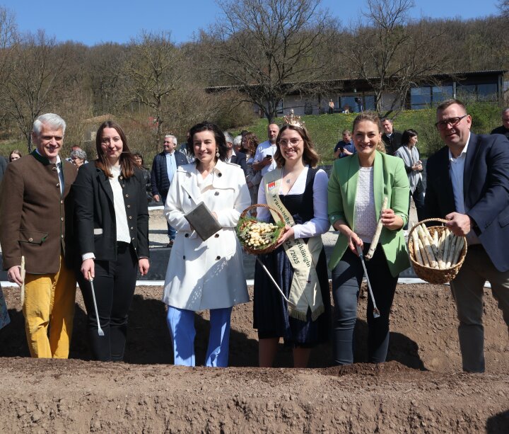 Zum symbolischen Spargelanstich stehen auf einem Spargelfeld Steffen Vogel (MdL), Miriam Adel (Vorsitzende Fränkischer Spargelerzeugerverband), Dorothee Bär (MdB), Veronika Hußnätter (Fränkische Spargelkönigin), Judith Gerlach (Staatsministerin StMGP) sowie Ingo Reinhart (Betriebsleiter „Bauer Reinhart“).