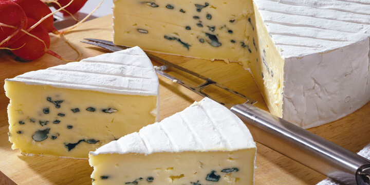 2 Tortenstücke Blauschimmelkäse auf einem Holzbrett, dahinter ein Käsemesser und ein Laib