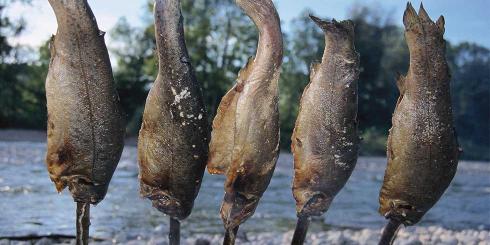 5 Steckerlfisch am Flussufer aufgespießt